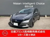 Nissan Leaf 2023 buy in Moscow