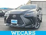 Lexus NX 250 +/ 2024 — фото 1, купить с доставкой в Москву
