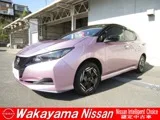 Nissan Leaf e+ X && 2023 — фото 1, купить с доставкой в Москву