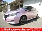 Nissan Leaf 2023 купить в Москве