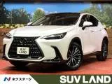 Lexus NX 250 L 14 2022 — фото 1, купить с доставкой в Москву