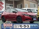 Nissan Leaf e+ X 90 LED 2024 — фото 1, купить с доставкой в Москву