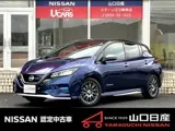 Nissan Leaf 2022 buy in Moscow