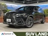 Lexus NX 250 4WD 4WD LED 9.8 2023 — фото 1, купить с доставкой в Москву
