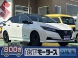 Nissan Leaf 2024 buy in Moscow
