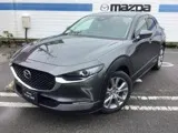 Mazda CX-30 2023 buy in Moscow