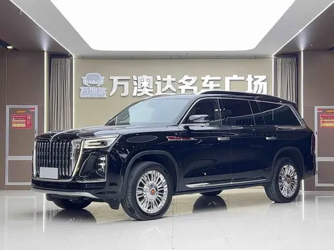 Hongqi Golden Sunflower National Glory 2022 купить в Москве