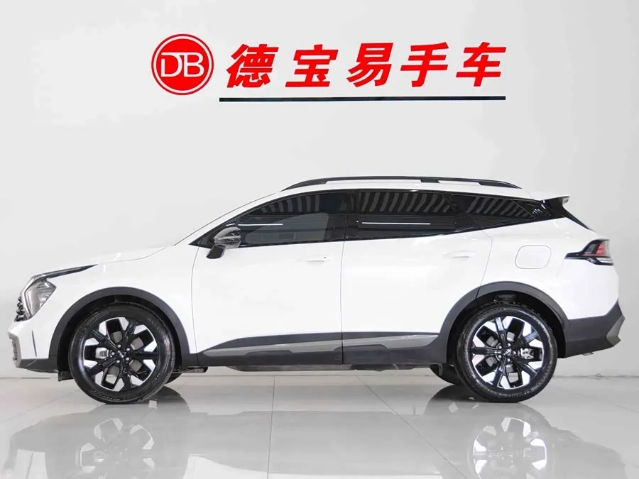 Kia Lion Platinum 2023 Lion Bo Tuojie 2.0T 2WD Flagship Edition 2024 — миниатюра 3