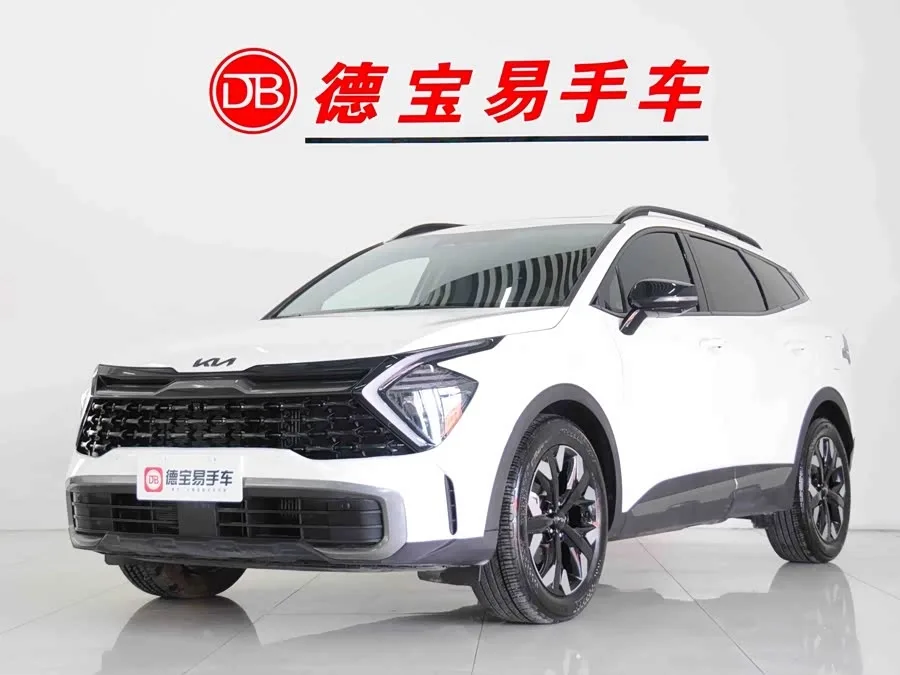 Kia Lion Platinum 2023 Lion Bo Tuojie 2.0T 2WD Flagship Edition 2024 — фото 1, купить с доставкой в Москву