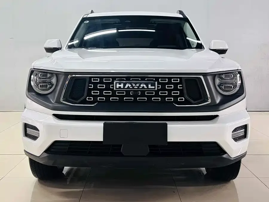 Haval Big Dog PLUS Haval Big Dog PLUS 2023 2.0T 2WD Trendy Wild Edition Plus 2023 — фото 1, купить с доставкой в Москву