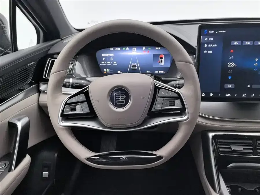 BYD Tang New Energy Tang New Energy 2025 DM-i 115KM Premium Edition 2024 — миниатюра 5
