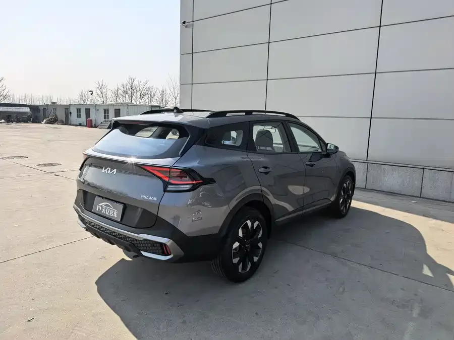 Kia Lion Platinum Lion Bo Tuojie 2025 2.0T 2WD Premium Edition 2025 — миниатюра 2