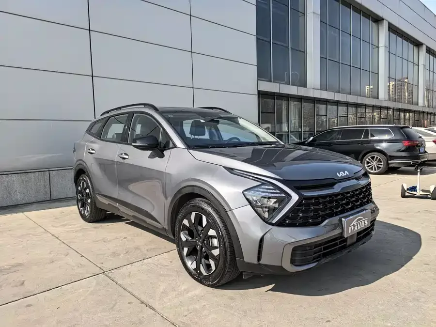 Kia Lion Platinum Lion Bo Tuojie 2025 2.0T 2WD Premium Edition 2025 — миниатюра 3