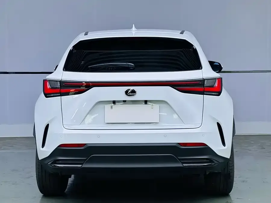Lexus NX 2025 200 FUN 2026 — миниатюра 2