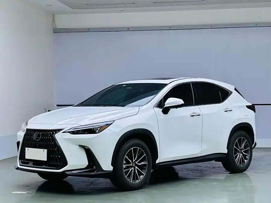Lexus NX 2025 200 FUN 2026 — фото 1, купить с доставкой в Москву