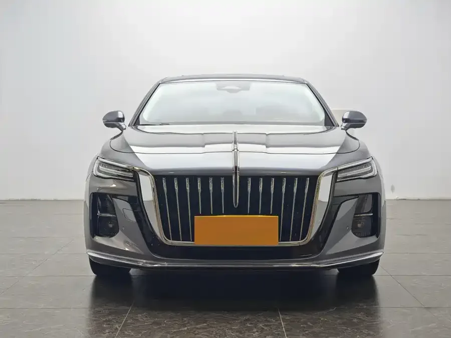 Hongqi H5 Hongqi H5 2023 2.0T Automatic Intelligent Connected Flag Edition 2023 — миниатюра 2