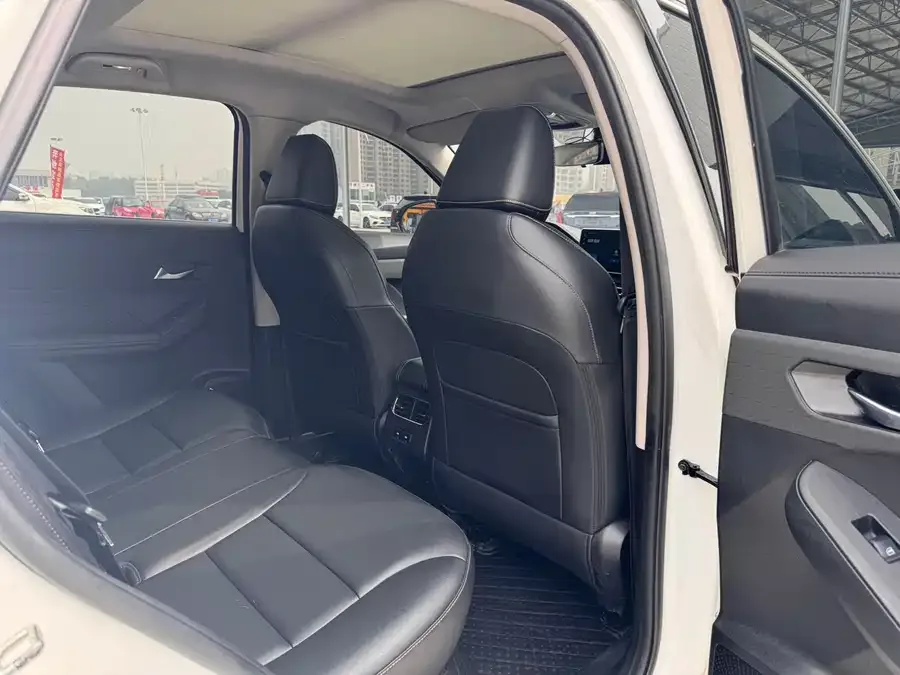 Haval Chitu (Red Rabbit) Haval Chitu 2022 Jinxiang Edition 1.5T Bronze Rabbit 2022 — миниатюра 4