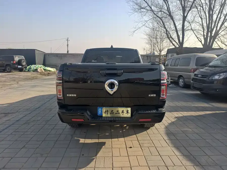 Great Wall gun 2023 2.0T Passenger Edition Automatic Gasoline Four-wheel Drive Comfort Type GW4C20B 2023 — миниатюра 5