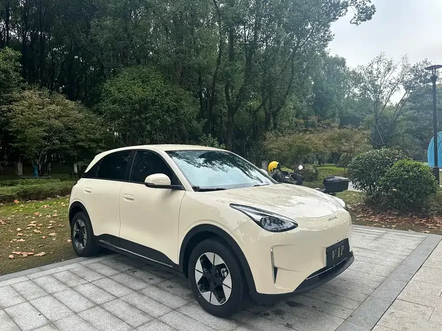 Geely Star Wish Star Wish 2025 310km Dream Edition 2025 — фото 1, купить с доставкой в Москву