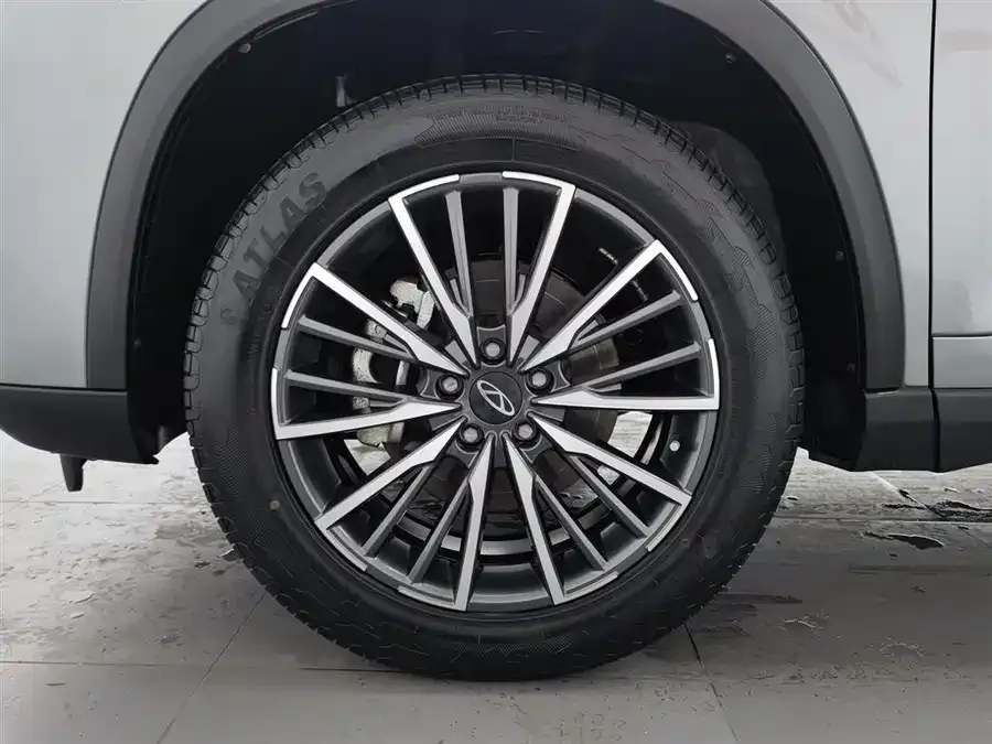 Chery Tiggo 8 PLUS Tiggo 8 PLUS 2024 Champion Edition 290TGDI DCT Pride Edition 7-seater 2024 — миниатюра 5