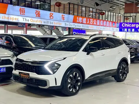 Kia Lion Platinum 2023 купить в Москве