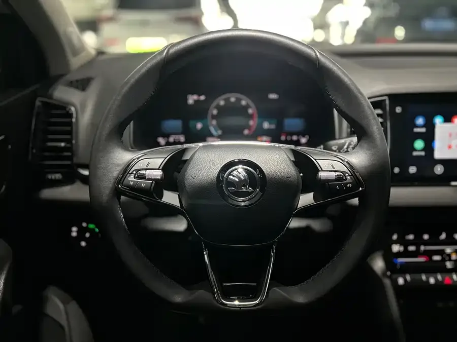 Skoda Karoq Korok 2024 TSI280 Exclusive Edition 2024 — миниатюра 5