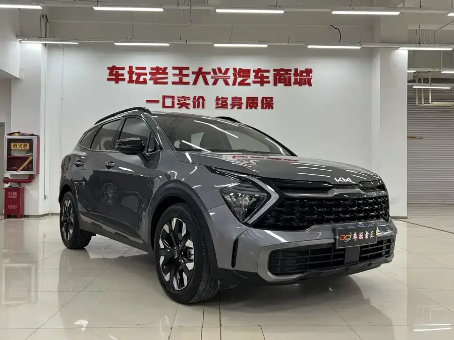 Kia Lion Platinum 2023 Lion Bo Tuojie 2.0T 2WD Premium Edition 2024 — миниатюра 3