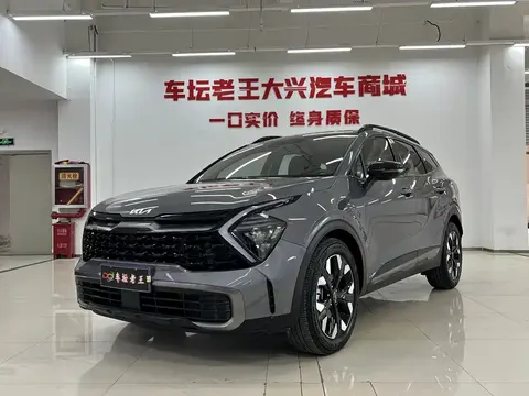 Kia Lion Platinum 2024 купить в Москве