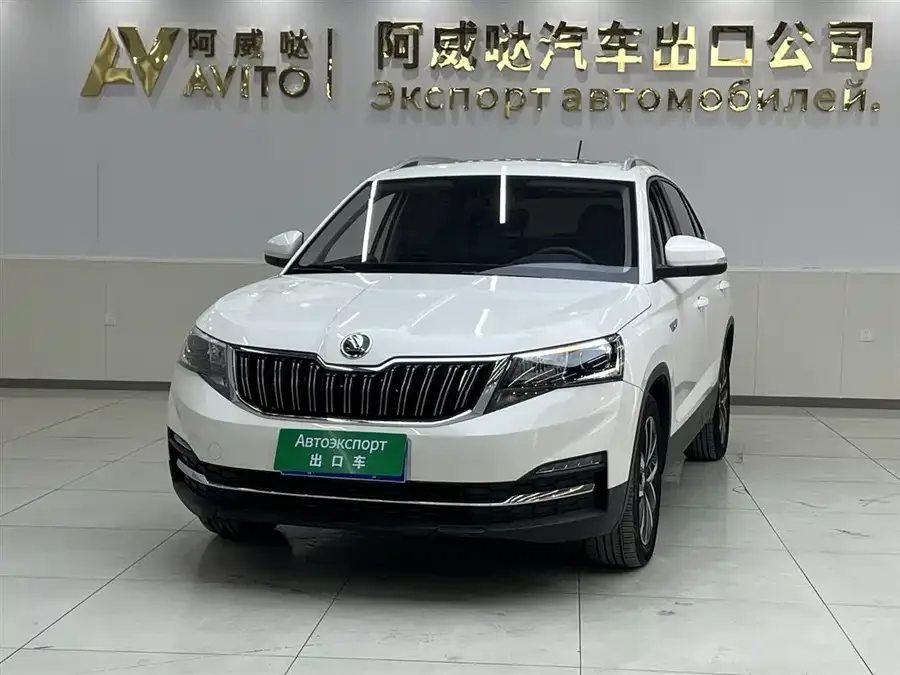 Skoda Kamiq Komic 2022 1.5L automatic comfort version 2022 — фото 1, купить с доставкой в Москву