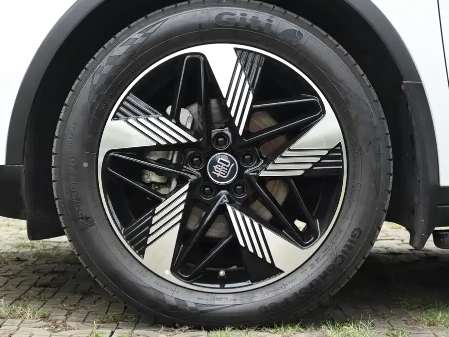 BYD Tang New Energy Tang New Energy 2023 DM-i Champion Edition 112KM Premium Edition 2023 — миниатюра 5