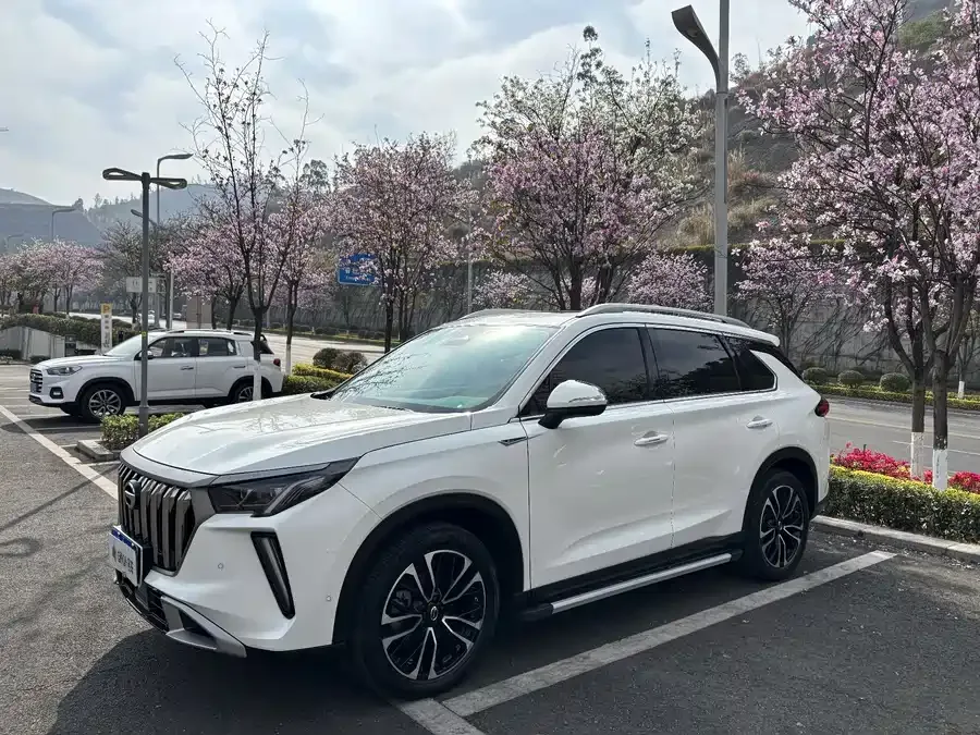 GAC Trumpchi GS4 PLUS Trumpchi GS4 PLUS 2023 390T Automatic Nebula Edition 2024 — фото 1, купить с доставкой в Москву