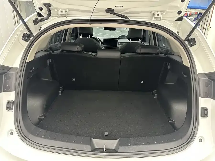 Haval Chitu (Red Rabbit) Haval Chitu 2022 Jinxiang Edition 1.5T Bronze Rabbit 2023 — миниатюра 5