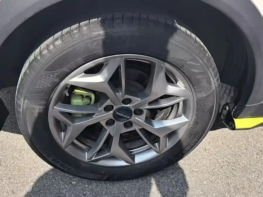 Haval Chitu (Red Rabbit) Haval Chitu 2022 Jinxiang Edition 1.5T Bronze Rabbit 2022 — миниатюра 3