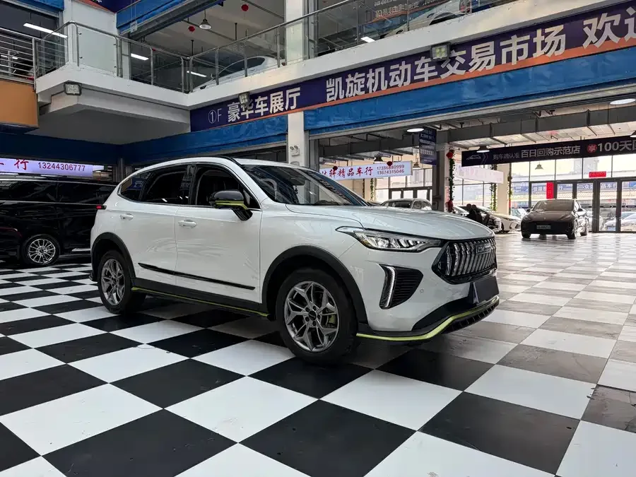 Haval Chitu (Red Rabbit) Haval Chitu 2022 Jinxiang Edition 1.5T Bronze Rabbit 2022 — миниатюра 3