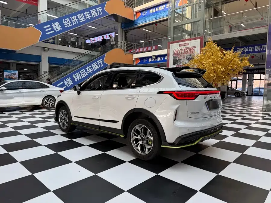 Haval Chitu (Red Rabbit) Haval Chitu 2022 Jinxiang Edition 1.5T Bronze Rabbit 2022 — миниатюра 4