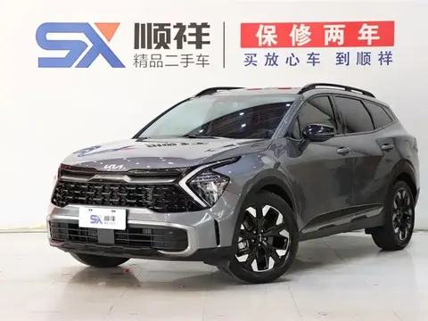 Kia Lion Platinum 2024 купить в Москве