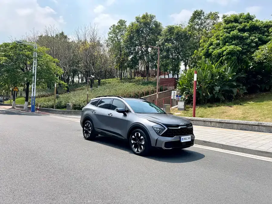 Kia Lion Platinum 2023 Lion Bo Tuojie 2.0T 2WD Flagship Edition 2022 — миниатюра 3