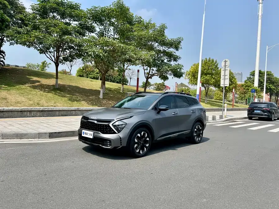 Kia Lion Platinum 2023 Lion Bo Tuojie 2.0T 2WD Flagship Edition 2022 — фото 1, купить с доставкой в Москву