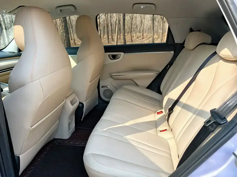 Wuling Bingo S Bingo S 2025 430km Flagship Edition 2025 — миниатюра 3
