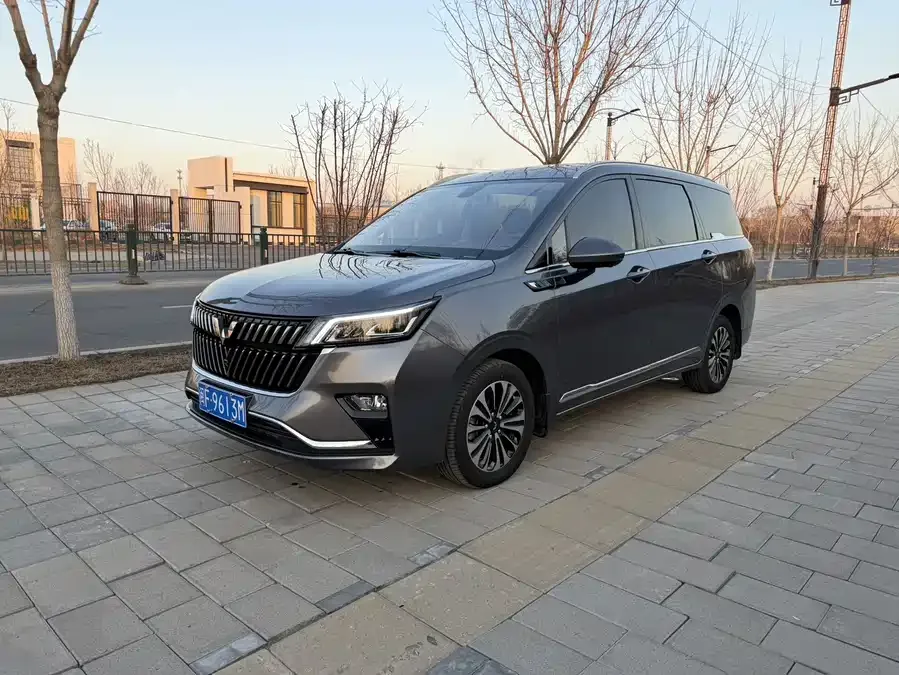 Wuling Jiachen Wuling Jiachen 2022 1.5T CVT exclusive flagship model 2022 — фото 1, купить с доставкой в Москву
