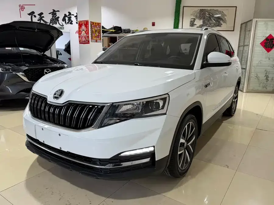 Skoda Kamiq Komic 2023 1.5L automatic comfort version 2023 — фото 1, купить с доставкой в Москву