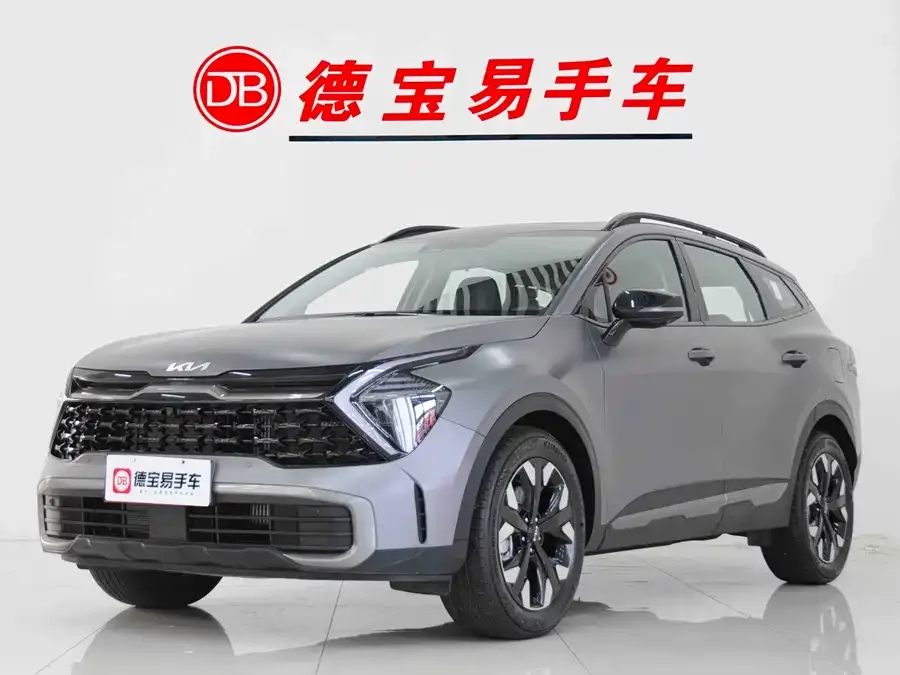 Kia Lion Platinum 2023 Lion Bo Tuojie 2.0T 2WD Flagship Edition 2024 — фото 1, купить с доставкой в Москву