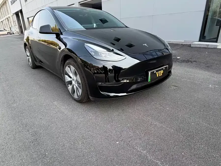 Tesla Model Y Model Y 2024 rear-wheel drive version 2025 — миниатюра 3