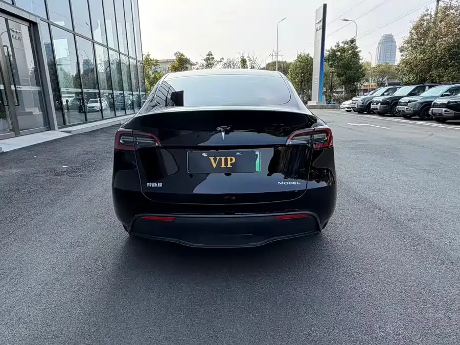 Tesla Model Y Model Y 2024 rear-wheel drive version 2025 — миниатюра 5