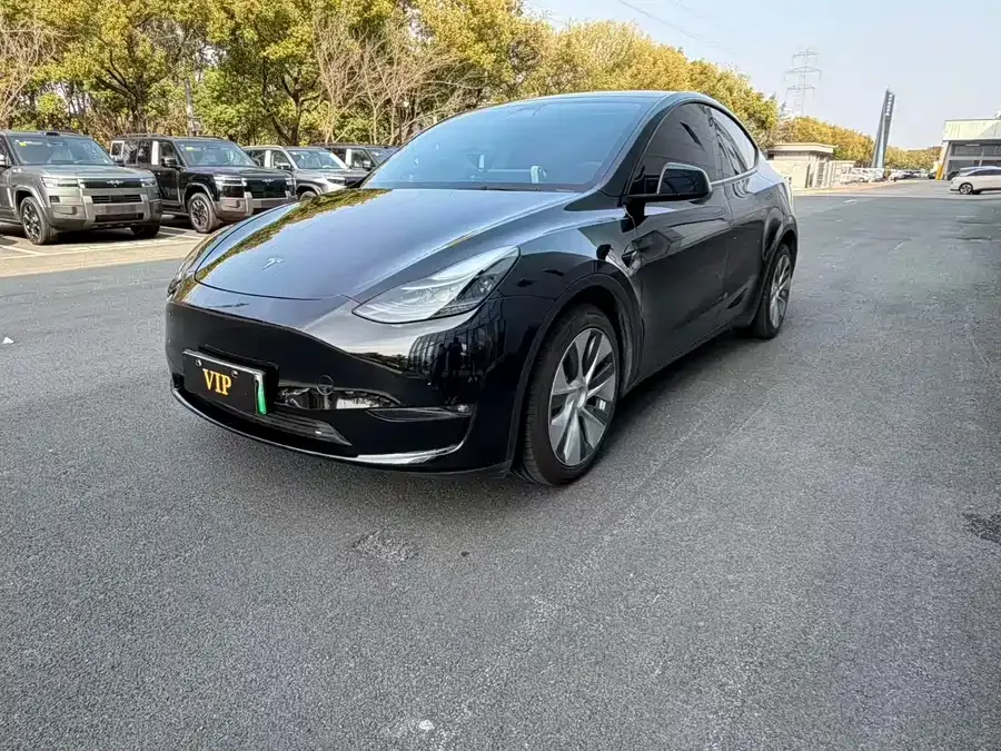 Tesla Model Y Model Y 2024 rear-wheel drive version 2025 — фото 1, купить с доставкой в Москву