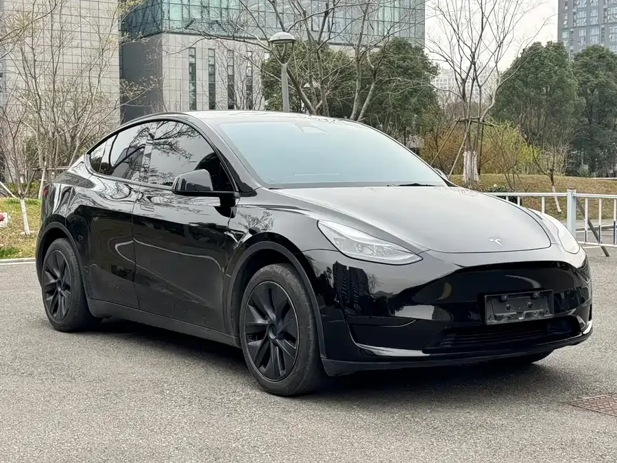 Tesla Model Y Model Y 2023 rear-wheel drive version 2023 — миниатюра 3