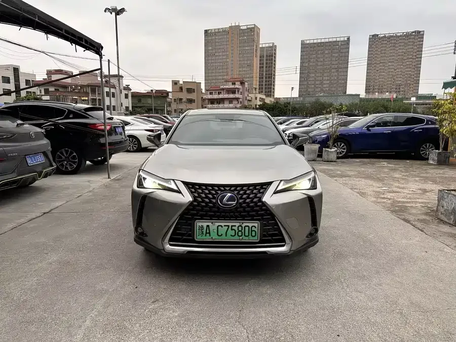 Lexus UX New Energy Lexus UX PHEV 2020 300e Pure Edition 2022 — фото 1, купить с доставкой в Москву