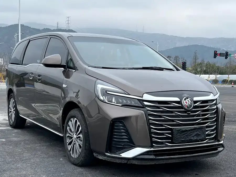 Buick GL8 2023 Land Business Class 652T Luxury Edition 2024 — фото 1, купить с доставкой в Москву