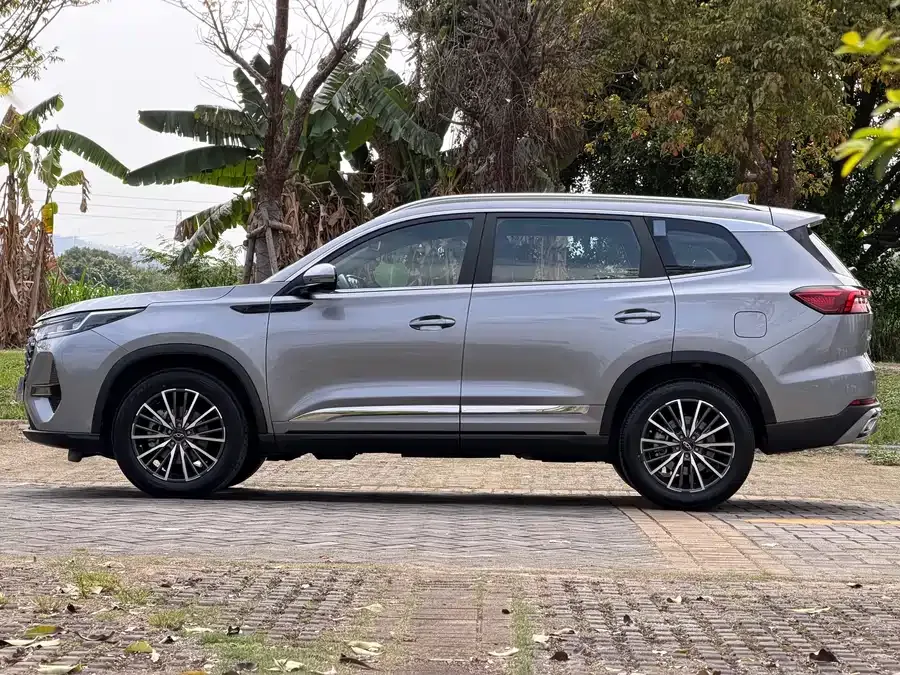 Chery Tiggo 8 PRO Tiggo 8 PRO 2024 Champion Edition 290T Two-wheel drive peak version 7 seats 2024 — миниатюра 2