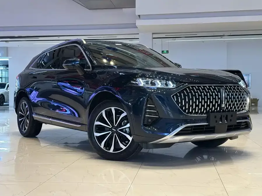 WEY Mocha Wei Mocha 2021 2.0T 2WD Special Edition 2022 — миниатюра 3